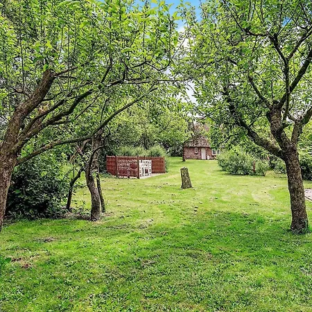 Ferienhaus 4 Person In *