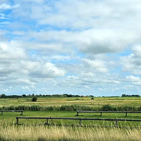 4 Person In Ferienhaus Tønder