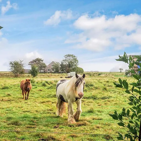 Ferienhaus 4 Person In *